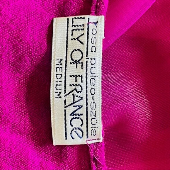 Lily of France Rosa Puleo-Szule 70's Sheer Chiffon Lingerie Slip Dress Medium - Picture 5 of 14